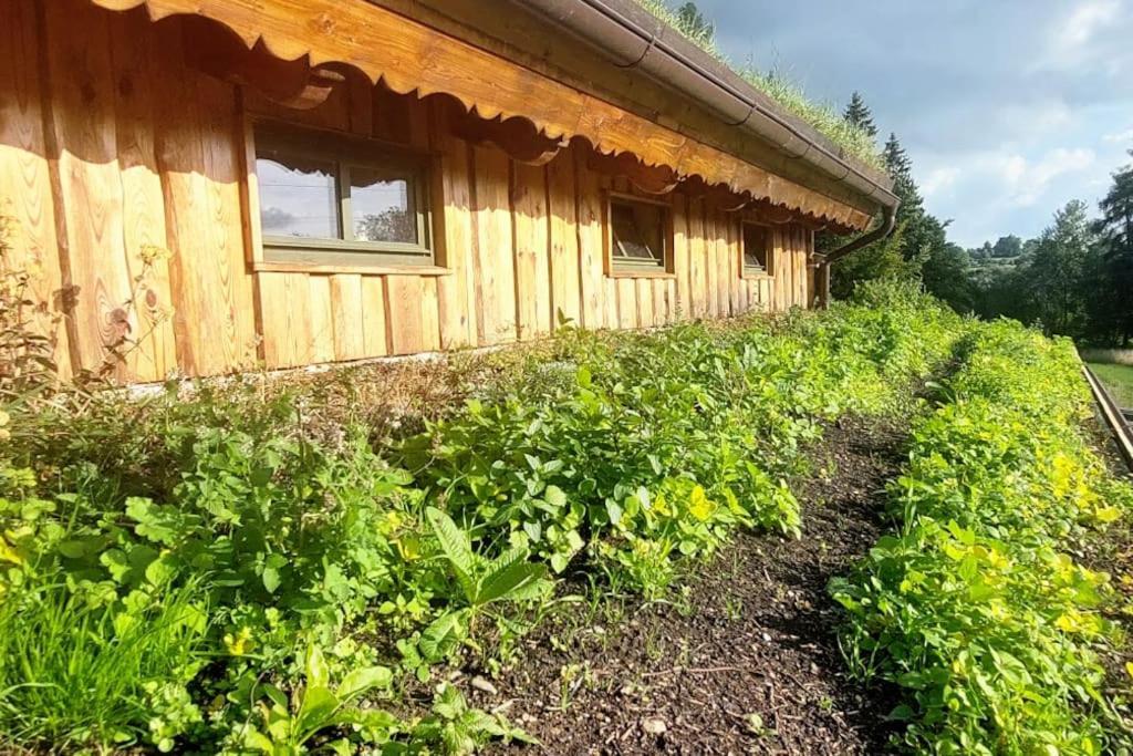 Benesov  Chalet Boruvka - Biofarma Na Samote V Lesich מראה חיצוני תמונה