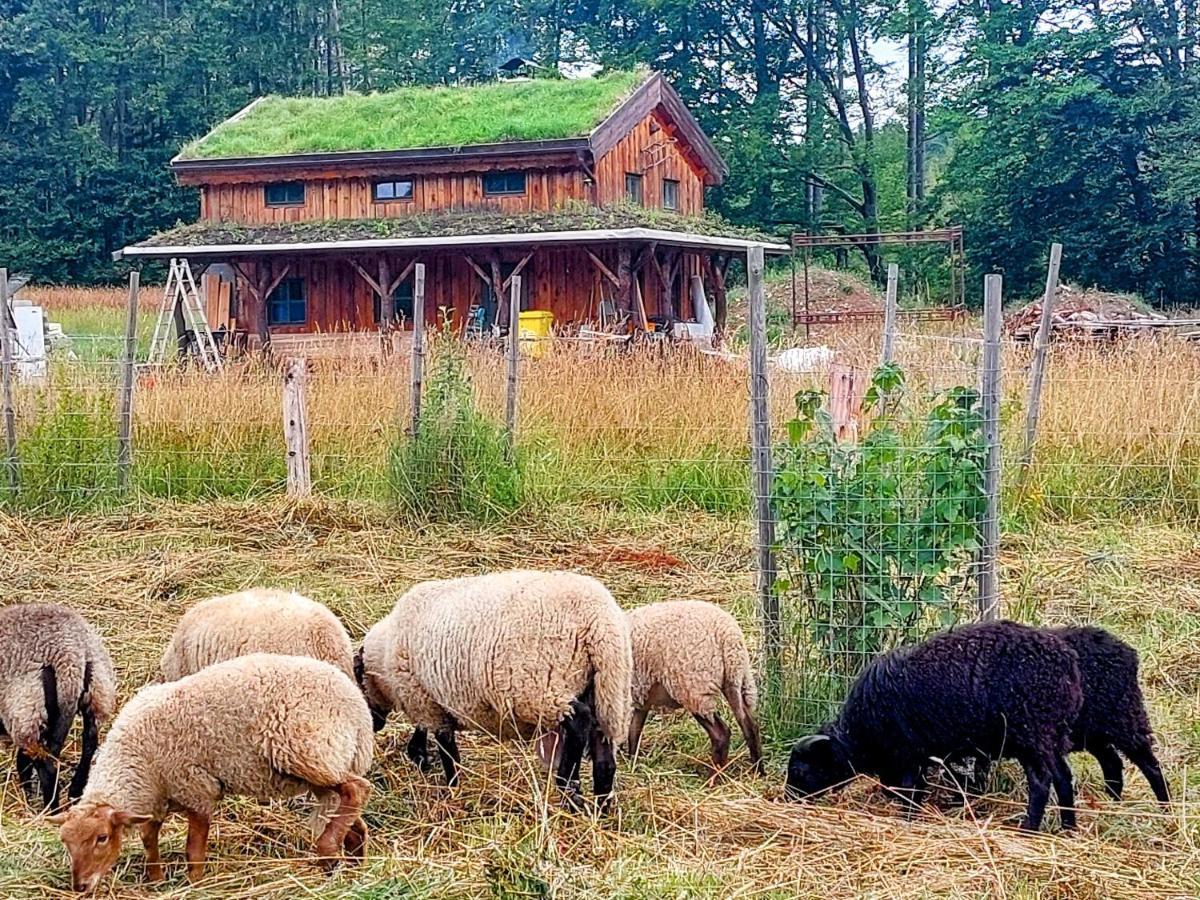 Benesov  Chalet Boruvka - Biofarma Na Samote V Lesich מראה חיצוני תמונה