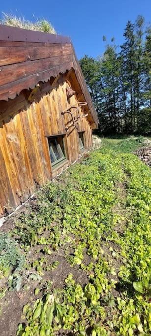 Benesov  Chalet Boruvka - Biofarma Na Samote V Lesich מראה חיצוני תמונה
