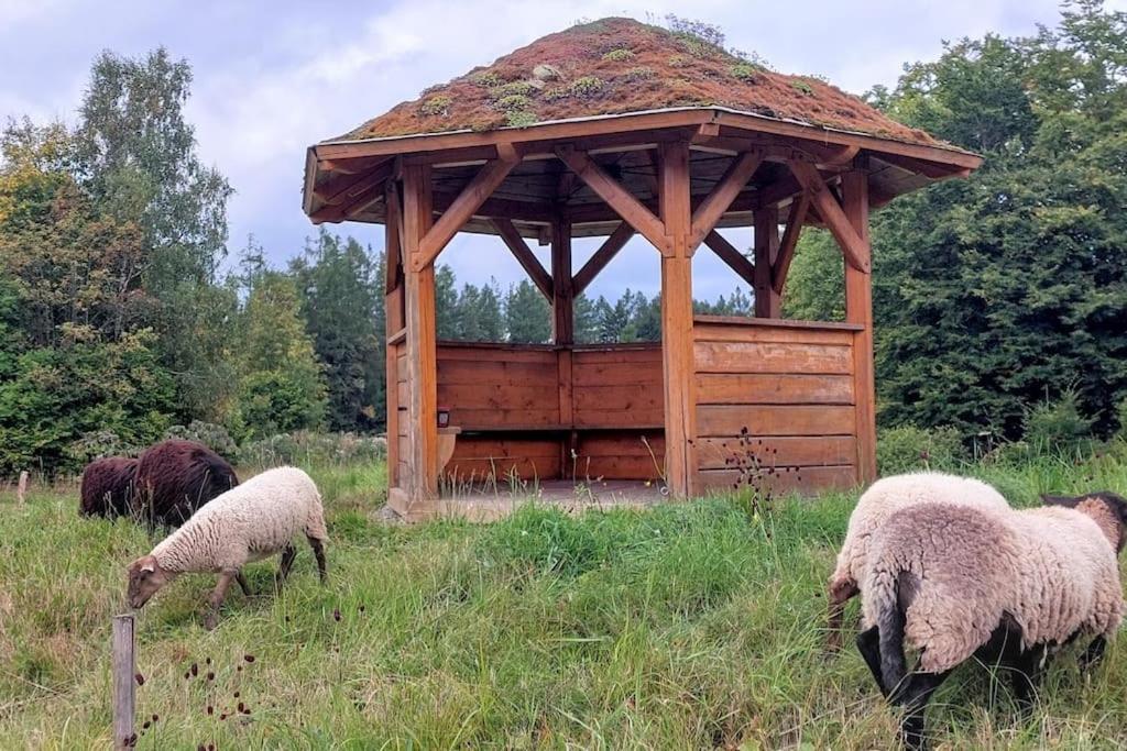 Benesov  Chalet Boruvka - Biofarma Na Samote V Lesich מראה חיצוני תמונה