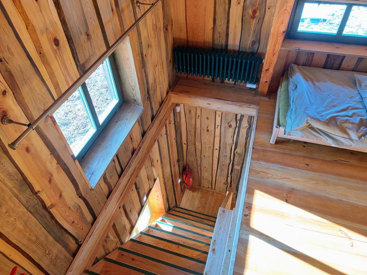 Benesov  Chalet Boruvka - Biofarma Na Samote V Lesich מראה חיצוני תמונה