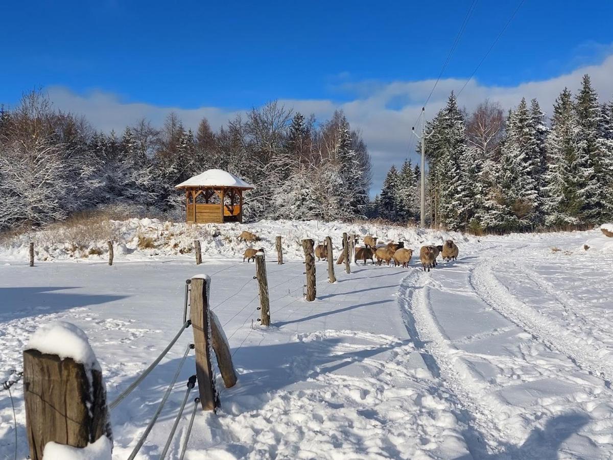 Benesov  Chalet Boruvka - Biofarma Na Samote V Lesich מראה חיצוני תמונה